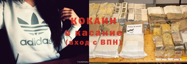 ПСИЛОЦИБИНОВЫЕ ГРИБЫ Арсеньев