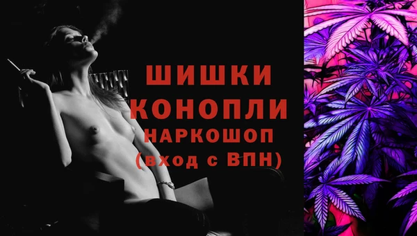 ПСИЛОЦИБИНОВЫЕ ГРИБЫ Арсеньев